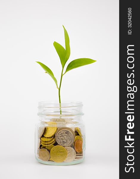 Plant and coins in glass jar, currency, investment and business concepts