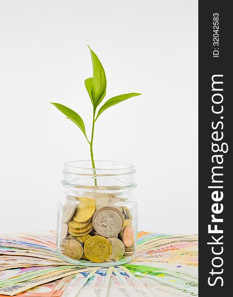 Plant and coins in glass jar, currency, investment and business concepts