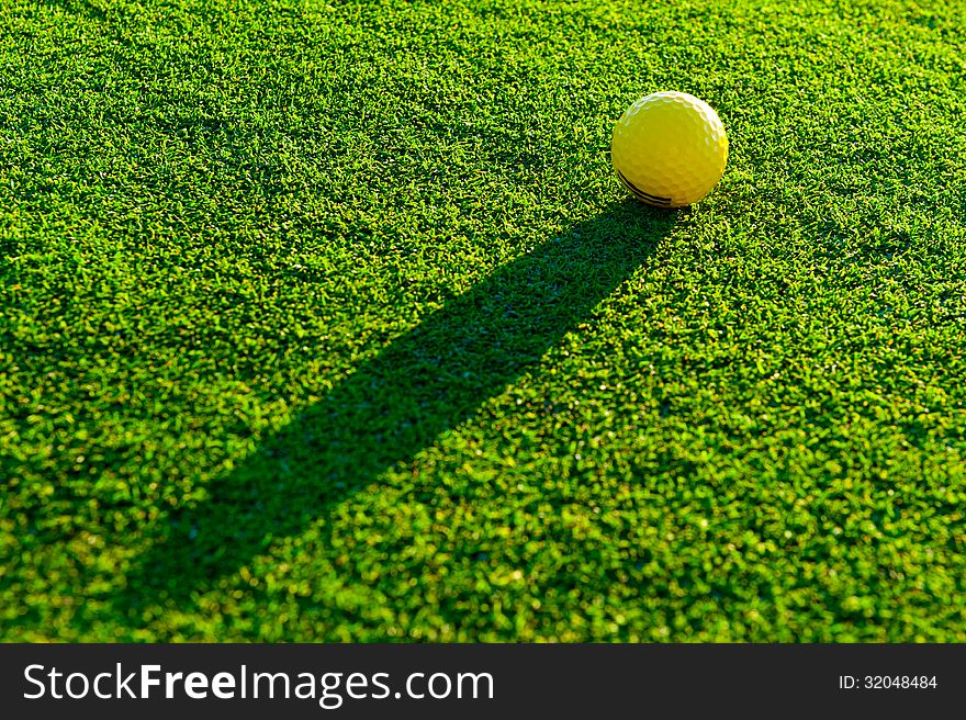 Golf Ball On Green Grass