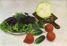 Lettuce, Dill, Onions And Vegetables: Tomatoes, Cucumbers, Cabba Stock Photography Lettuce, Dill, Onions And Vegetables: Tomatoes, Cucumbers, Cabba Stock Photography