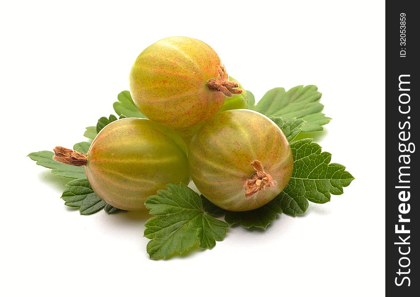 Green gooseberries on a white background