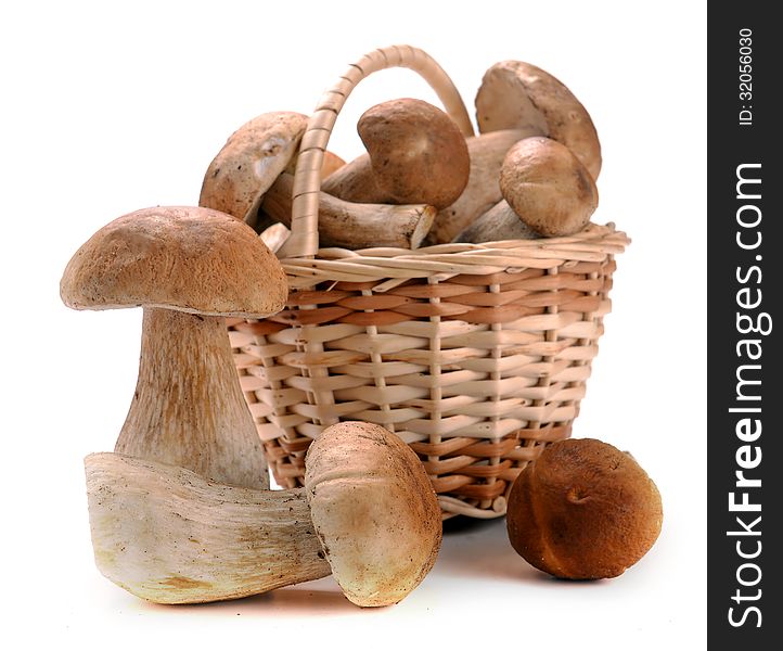 Mushrooms in a basket on a white background