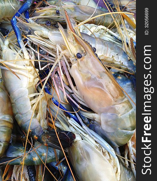 Big shrimp from thailand bay. Big shrimp from thailand bay