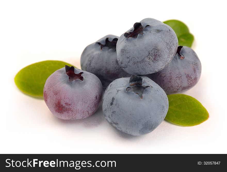 Blueberry and green leaves are on white background