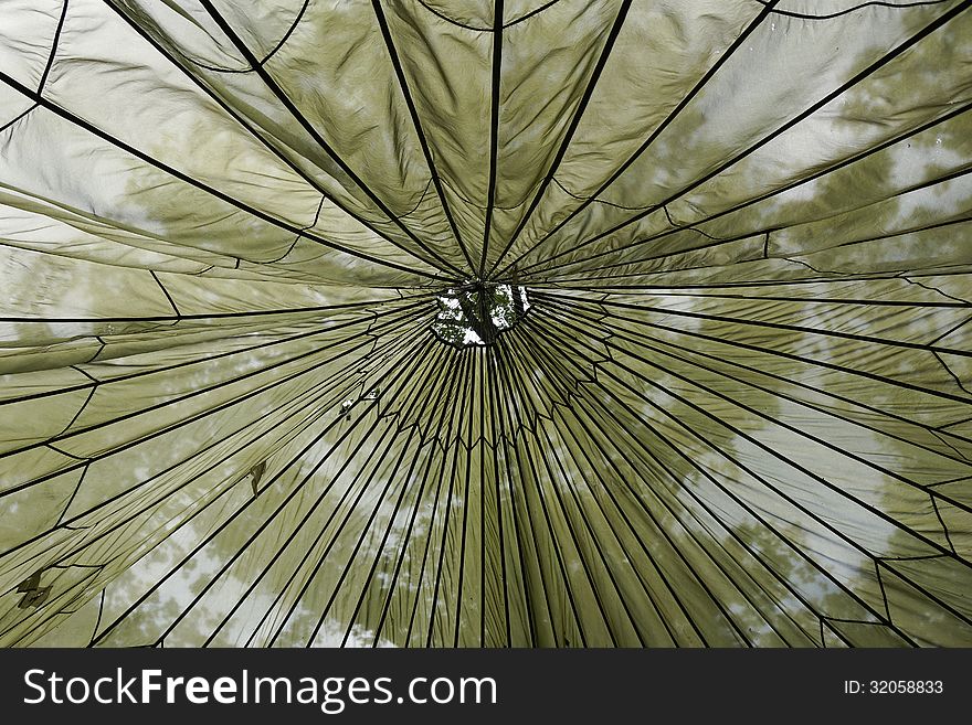 Abstract picture of the top of a tee-pee with the trees shining through