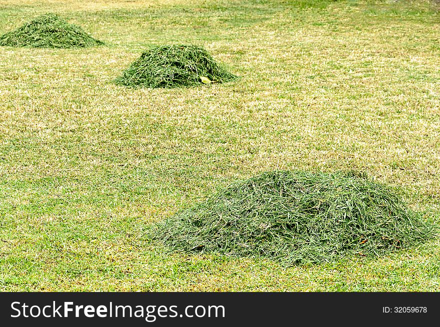 Haystack In The Field