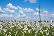 Summer Landscape Stock Photos Summer Landscape Stock Photos