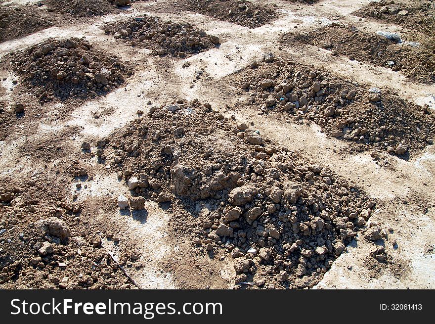 Fresh graves in a cemetery