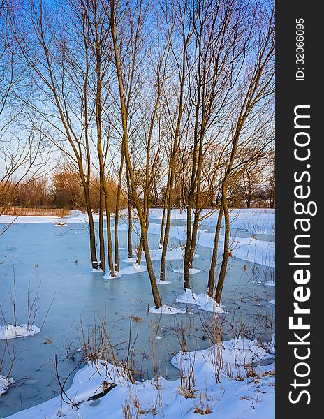 Wild Bog. Russian Nature In Winter. Wild Bog. Russian Nature In Winter