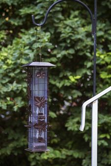 Bird Feeder Royalty Free Stock Photography Bird Feeder Royalty Free Stock Photography