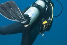Scuba Diver Stock Images Scuba Diver Stock Images