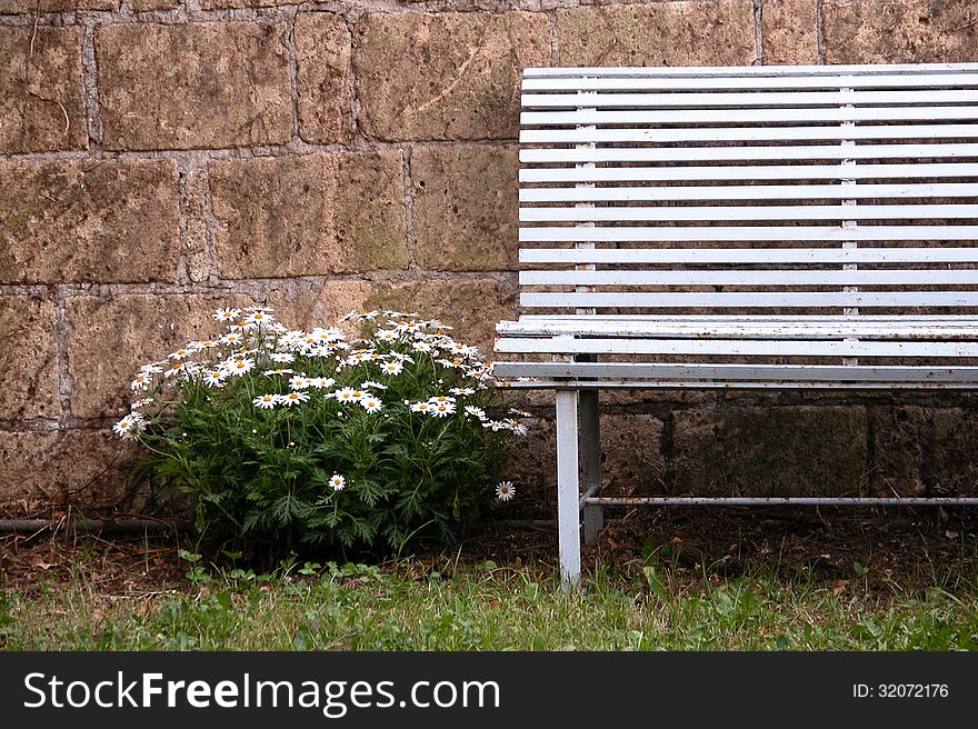 Very old bench with white flowers near the wall in nolstagic atmosphere. Very old bench with white flowers near the wall in nolstagic atmosphere