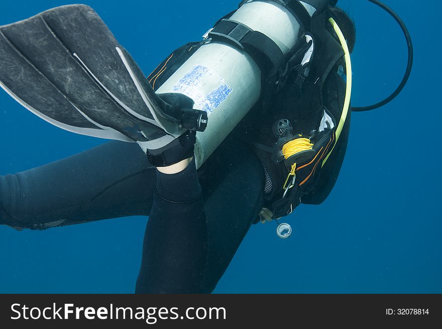 Diver swims in the Red sea with reel equipment. Diver swims in the Red sea with reel equipment