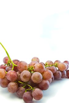 Red Grapes. Royalty Free Stock Photography Red Grapes. Royalty Free Stock Photography