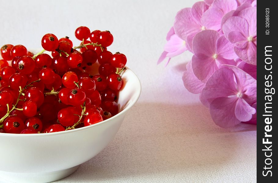 Red currants in a white ceramic bowl and pink flowers on a light background. Red currants in a white ceramic bowl and pink flowers on a light background