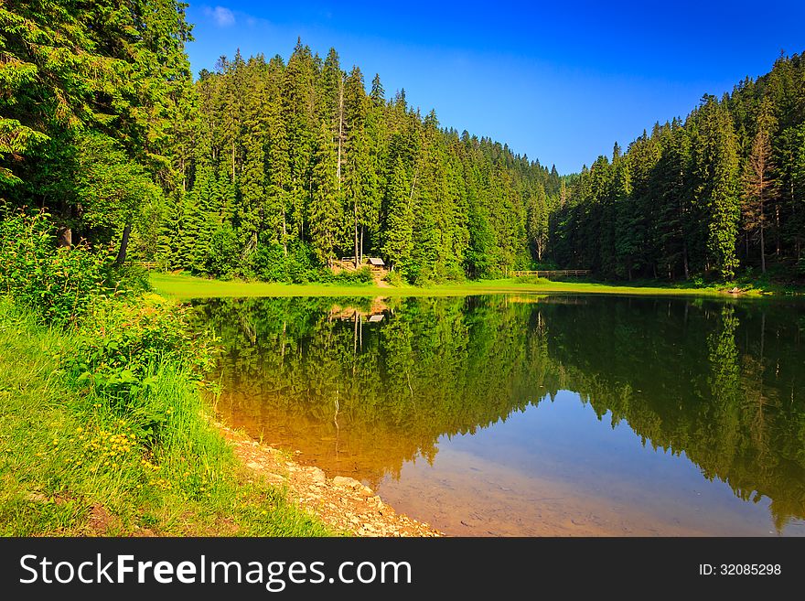 View of a mountain lake near the pine forest early in the morning. View of a mountain lake near the pine forest early in the morning