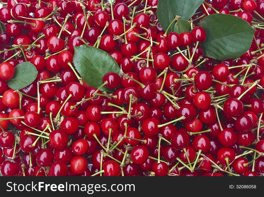 Sweet red cherries, closeup view