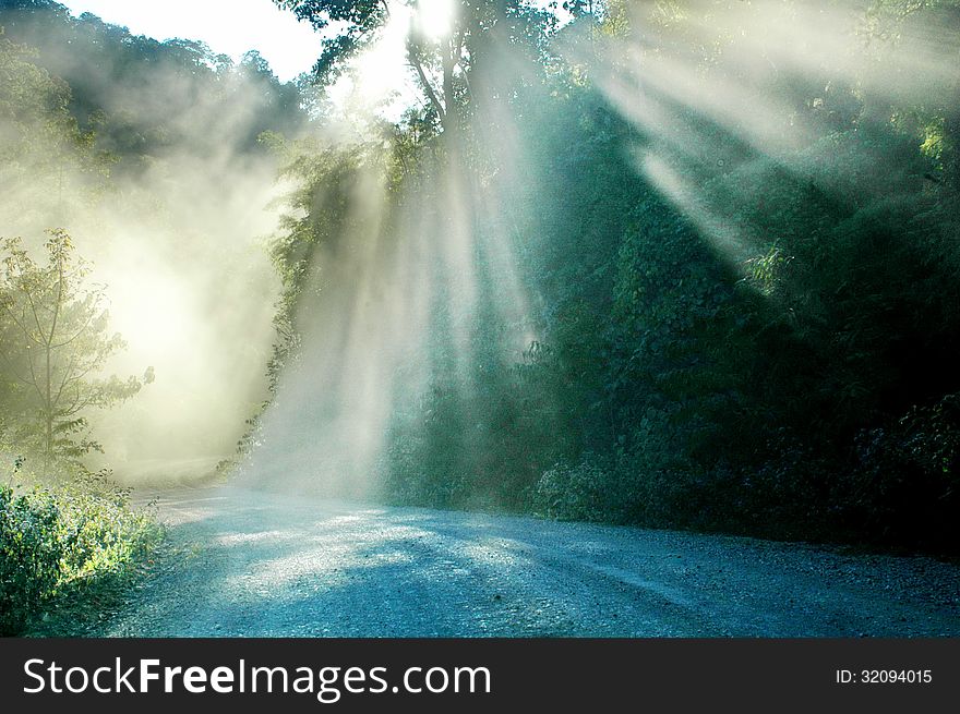 One afternoon. Driving dusty dirt road cars into the woods, but I have to see the car when brake light splashing down. One afternoon. Driving dusty dirt road cars into the woods, but I have to see the car when brake light splashing down.