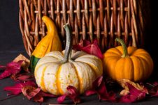 Pumpkins Royalty Free Stock Photo Pumpkins Royalty Free Stock Photo
