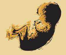 Child Stock Photography