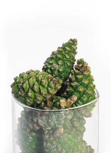 Pine Cones In Glass Bowl Royalty Free Stock Photo Pine Cones In Glass Bowl Royalty Free Stock Photo