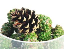 Pine Cones In Glass Bowl Royalty Free Stock Image Pine Cones In Glass Bowl Royalty Free Stock Image