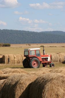 Tractor And Hay Harvest Stock Images Tractor And Hay Harvest Stock Images