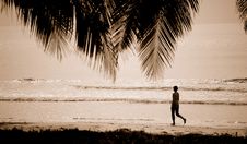 Woman Walking At The Beach Royalty Free Stock Image