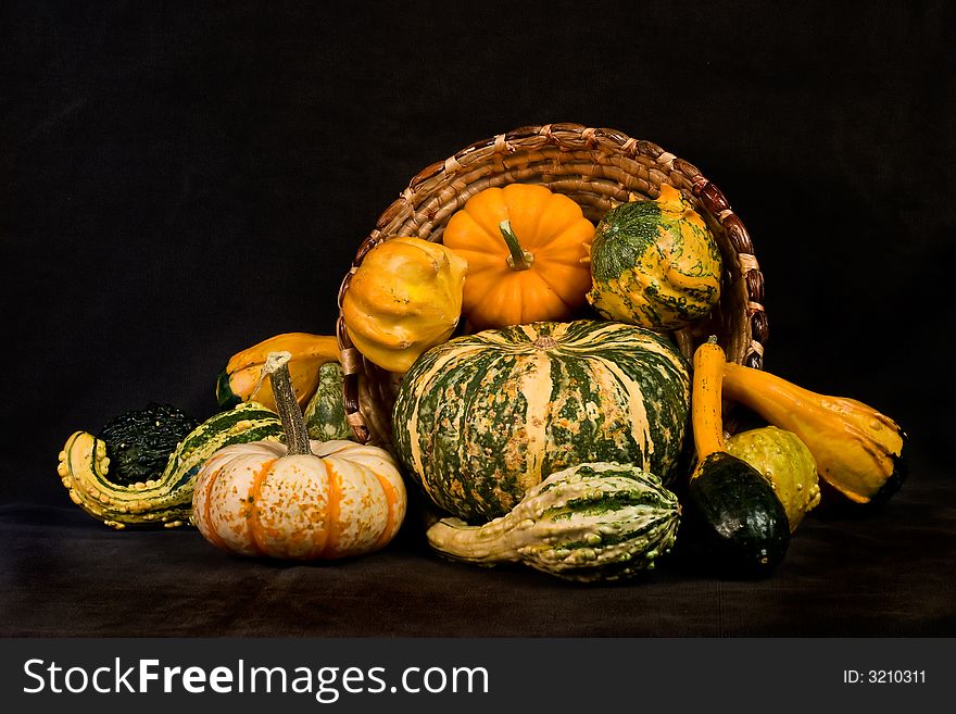 Miscellaneous pumpkins and gourds on dark background