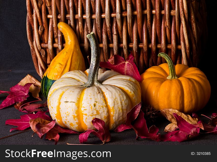 Miscellaneous pumpkins and gourds on dark background