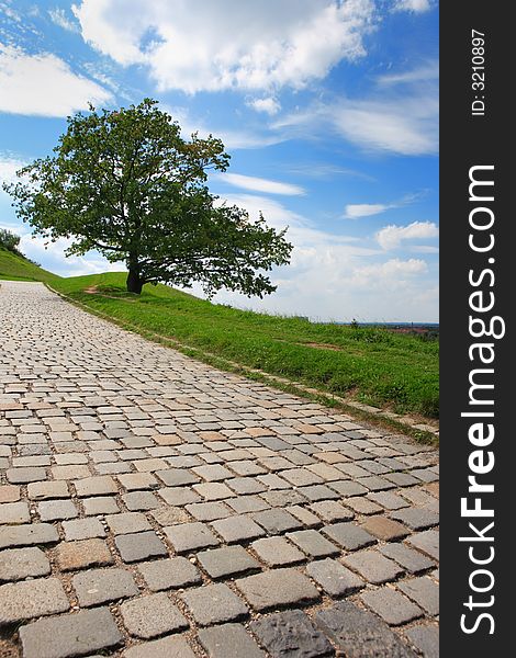 Uphill footway with tree against cloudscape