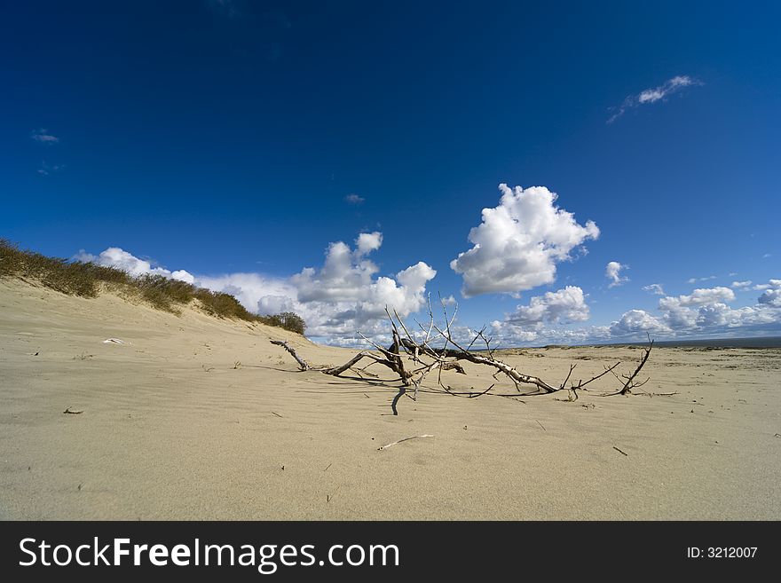 Seaside Baltic Lithuania  - a dune. Seaside Baltic Lithuania  - a dune