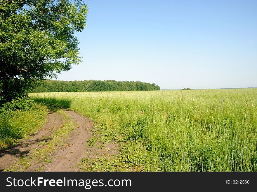 Country road