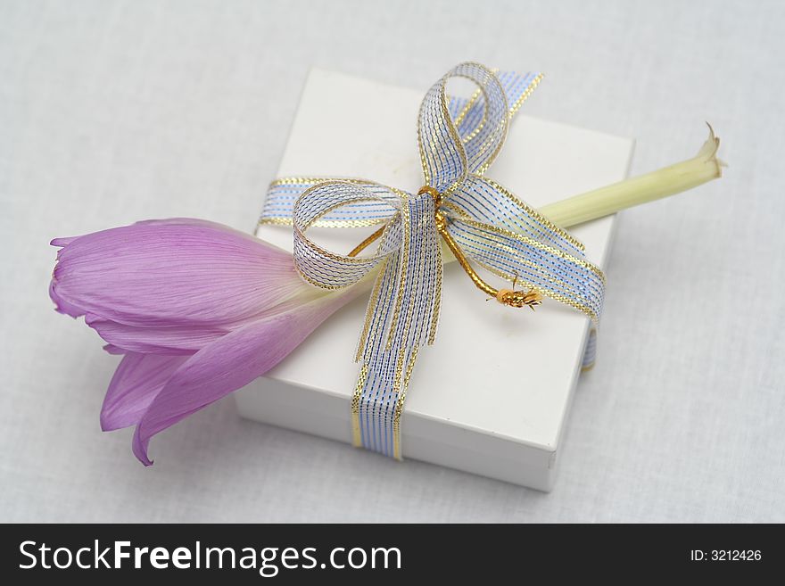 Gift with a flower on a white background