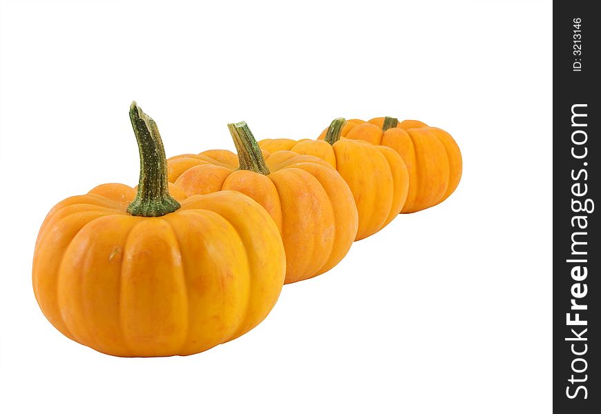 Four pumpkins in a line, isolated on white