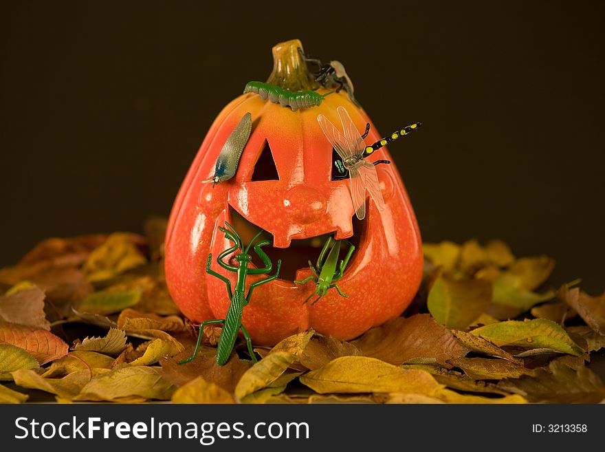 Halloween pumpkins and bugs, black background