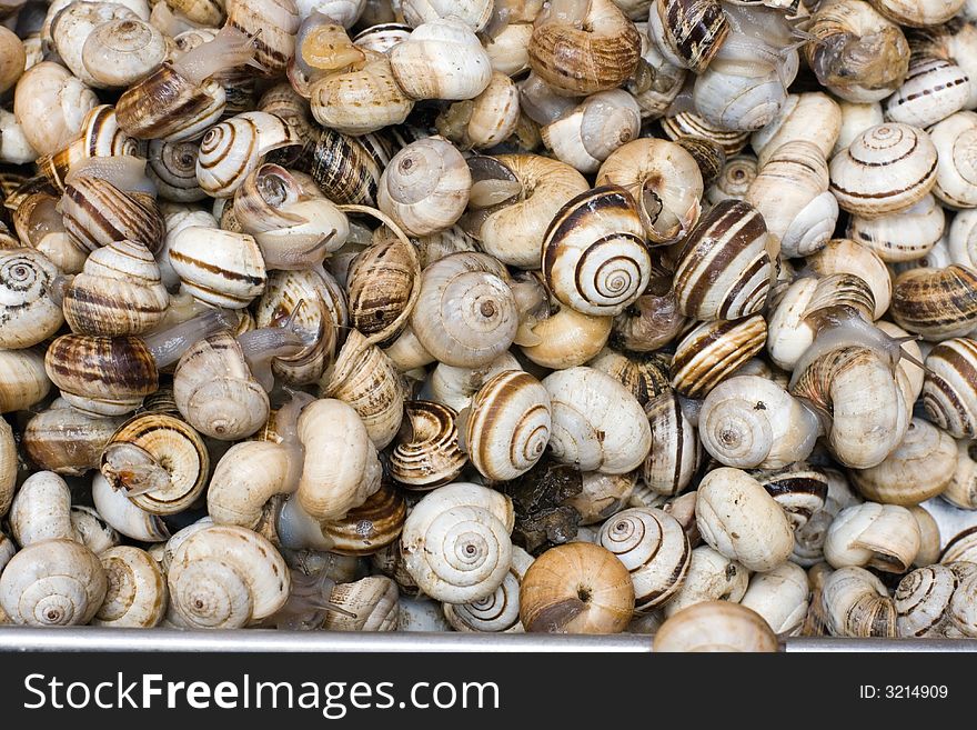 Fresh shellfish for sale at a market for farm products