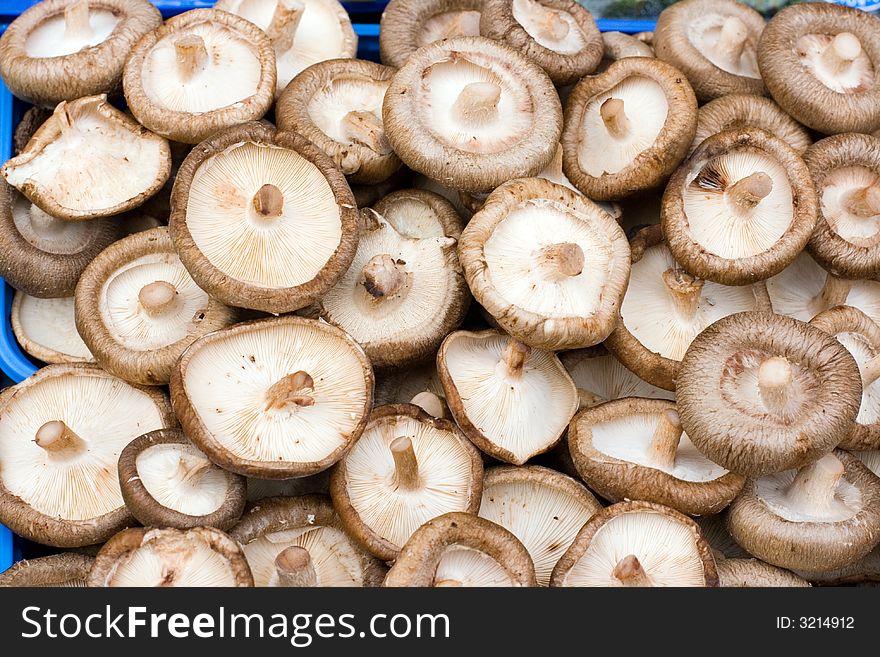 Mushrooms for sale at the market for farm products