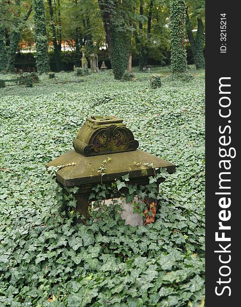 An old grave overgrown with ivy. An old grave overgrown with ivy.