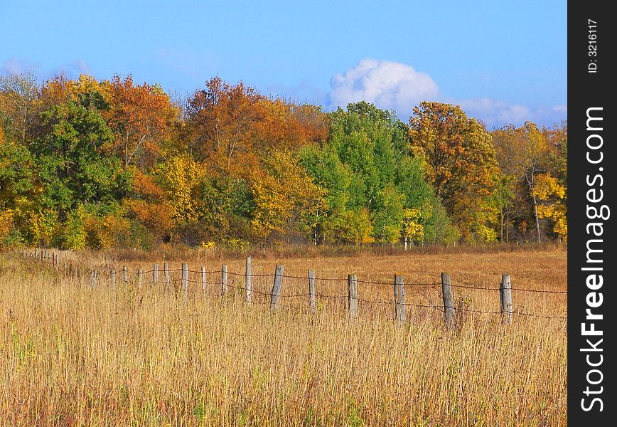 Barbwire Fence In Autumn
