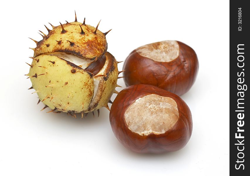 Group of chestnuts with and without husks isolated on white