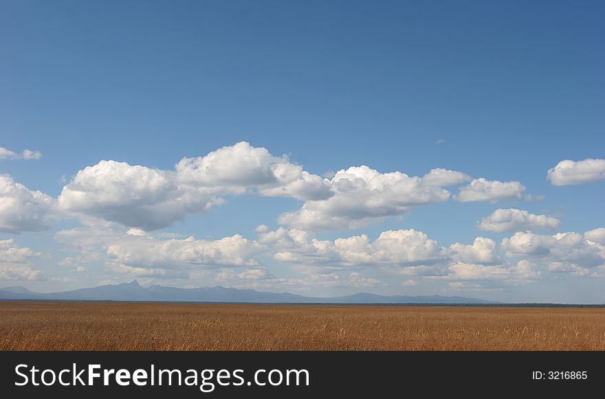 Sunny grassy field and partly cloudy sky; clean, crisp, sharp image. Sunny grassy field and partly cloudy sky; clean, crisp, sharp image