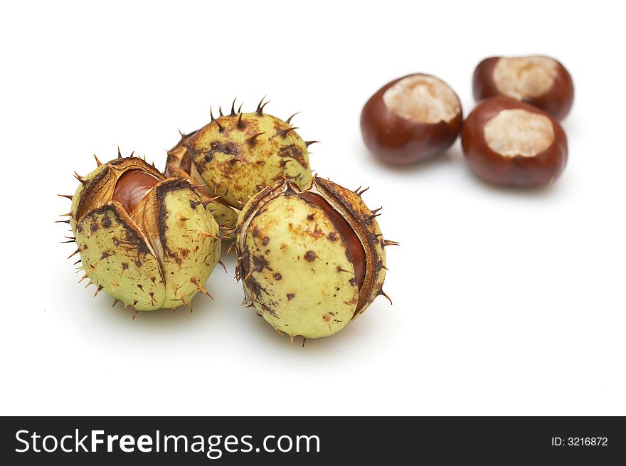 Group of chestnuts with and without husks isolated on white