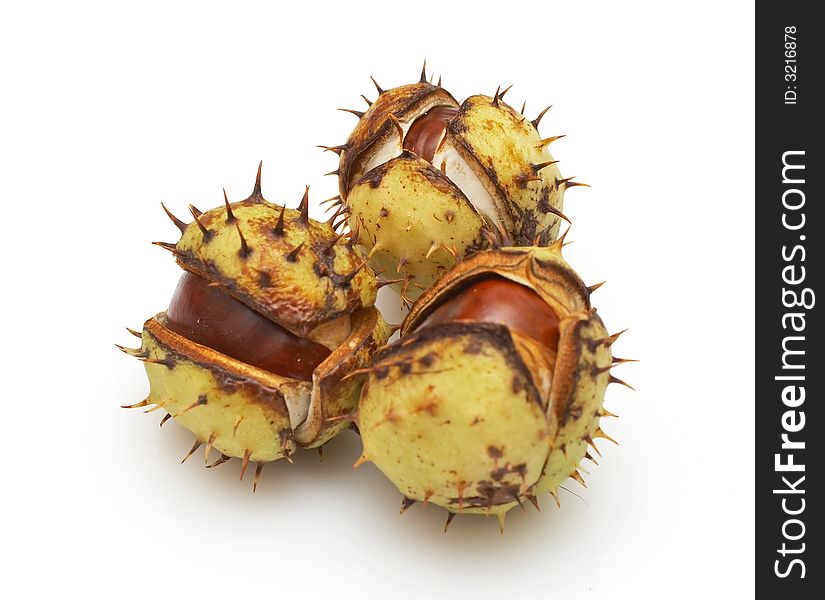 Group of chestnuts with  husks isolated on white