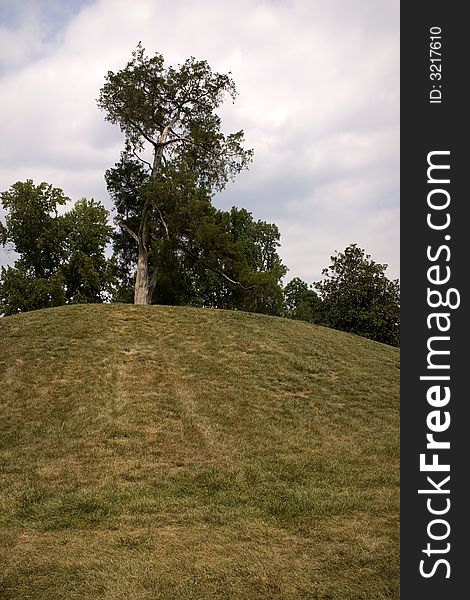 View of trees at the top of a hill against a bright, cloudy sky. View of trees at the top of a hill against a bright, cloudy sky.