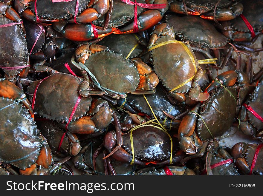 Fresh live crabs on the market in India, close-up