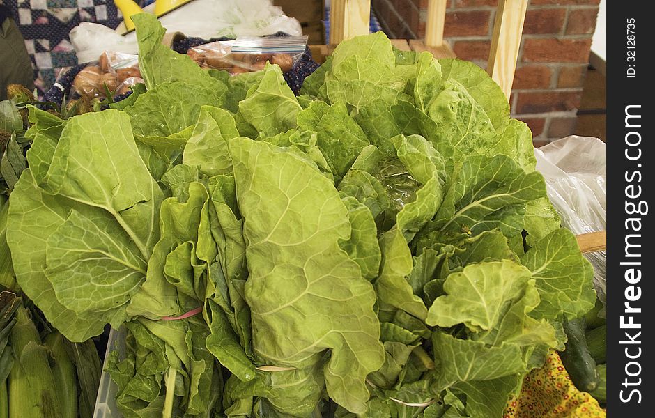 Fresh Lettuce for sale at a Farmers Market in New Bern North Casrolina