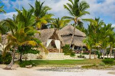 Palm And Tropical Beach In Tropical Paradise. Summertime Holyday In Dominican Republic, Seychelles, Caribbean, Philippines, Bahama Royalty Free Stock Image