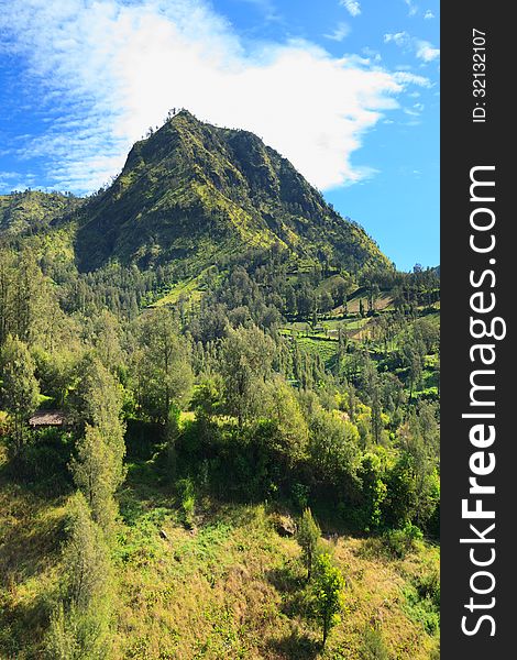 Summer landscape in high mountains and the blue sky with clouds in Indonesia