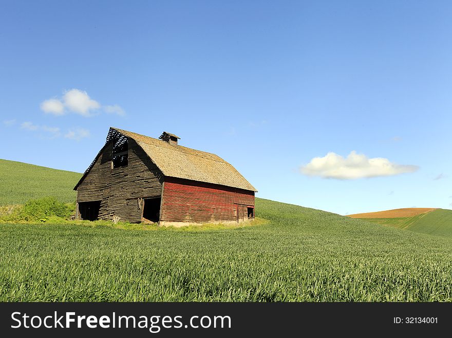Old dilapidated red barn in middle of green field with white wispy clouds in blue morning sky in the springtime in the Palouse area of Washington State. Old dilapidated red barn in middle of green field with white wispy clouds in blue morning sky in the springtime in the Palouse area of Washington State.
